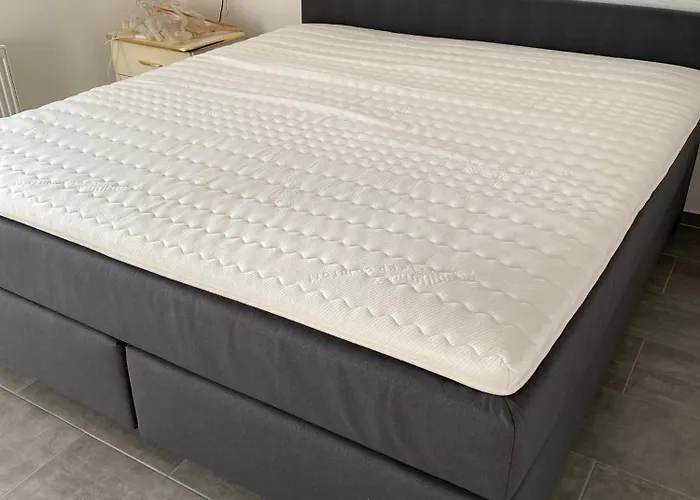 Ankerweg An Der Seehundstation Typ C Lägenhet Norden