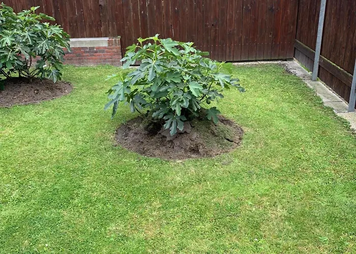 Lägenhet Ankerweg An Der Seehundstation Typ C *